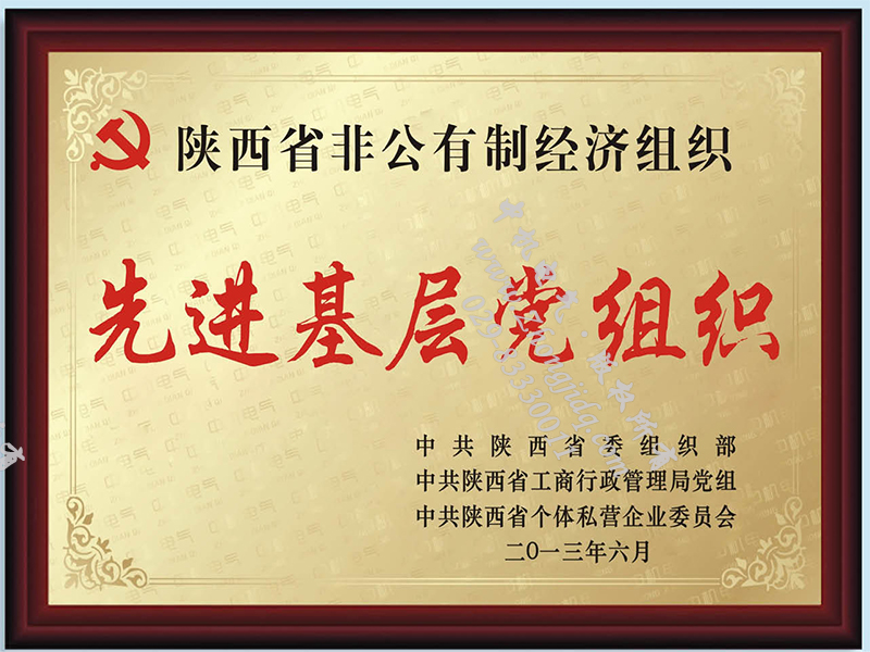 先進(jìn)基層黨組織榮譽(yù)證書